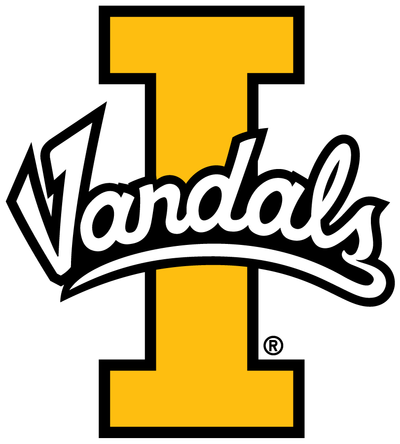 Idaho Vandals 2019-Pres Primary Logo DIY iron on transfer (heat transfer)